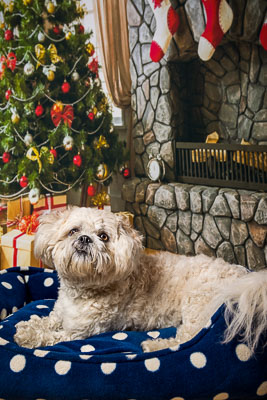 Fudge 2 December 2017 Fudge 2 December 2017