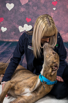 Vets4Pets Larne 31 March 18 Vets4Pets Larne 31 March 18