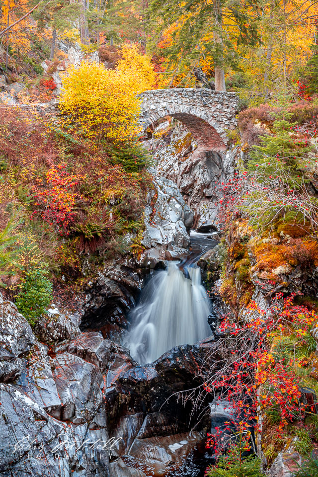 cm-20241019-Falls-Of-Bruar-0012.jpg